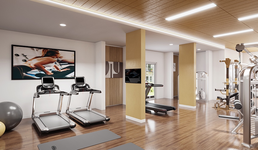 Gymnasium
